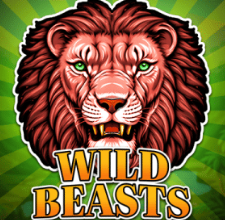 Populärt Slots-spel 27